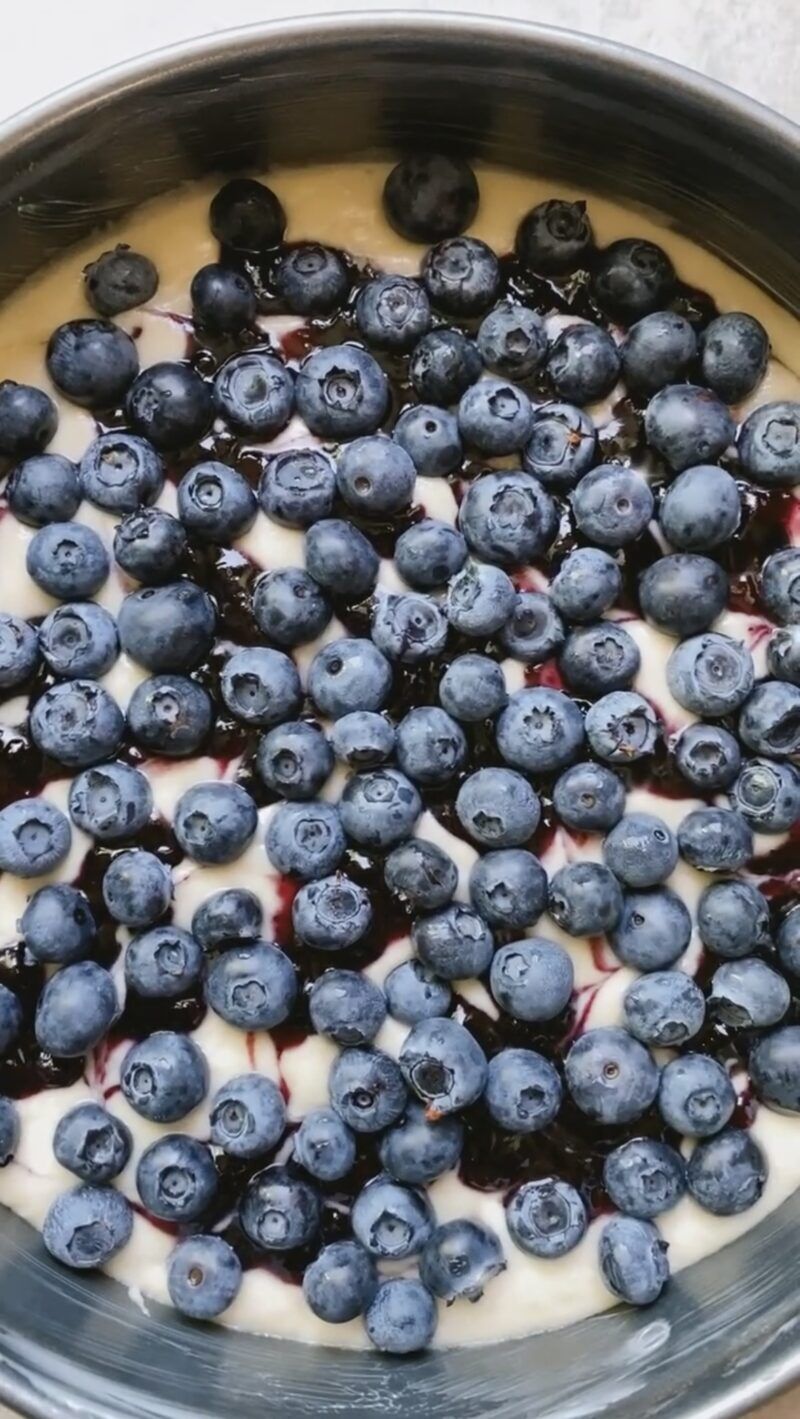 Crumb cake batter in springform pan with blueberry swirl and fresh blueberries